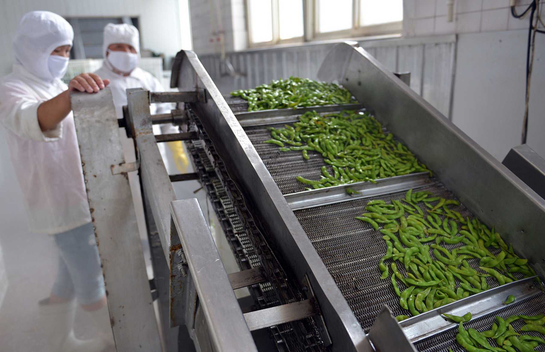 智能凈菜<span style=