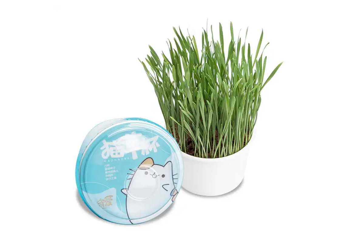 杯裝貓草封口機:為愛寵貓咪鎖住新鮮綠意