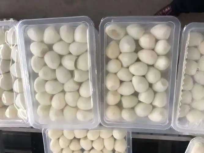 整線解決方案,優(yōu)化生產(chǎn)流程:鵪鶉蛋包裝神器來(lái)襲