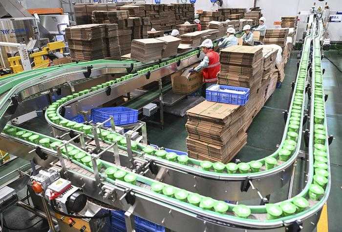 工廠高效生產的秘密:一文掌握包裝設備的正確使用與維護技巧