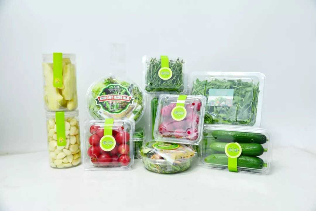 智能包裝革新者——全自動盒式灌裝封口系統賦能現代化生產線