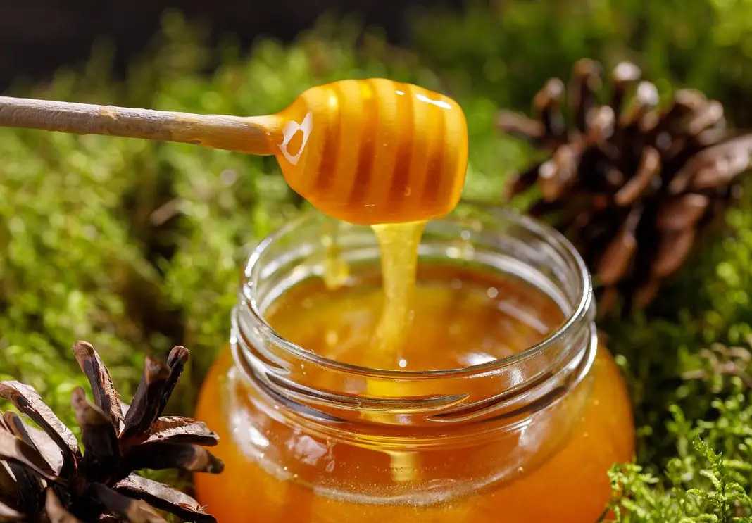 甜蜜革新，智造每一勺的優(yōu)雅：呂工機(jī)械編帶式勺裝<span style=